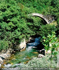 Jump of a dear bridge at Tresonecka river