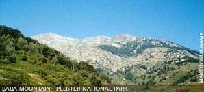 Baba mountain - Pelister National Park