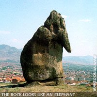 The rock looks like an elephant