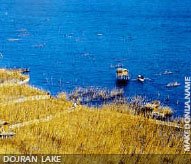 Dojran Lake