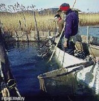 Fisherman in Dojran