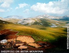 Sheepfolds on Bistra mountain